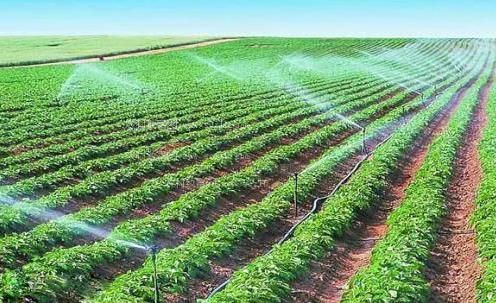 狠狠干干农田高 效节水灌溉